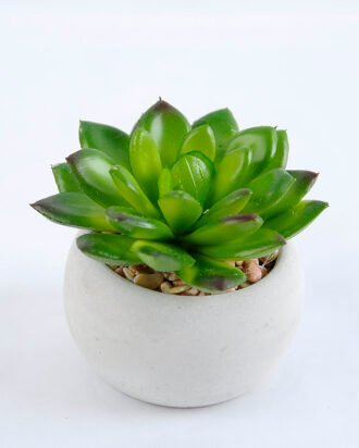Artificial succulent 7.5*7.5*7.5cm succulent plants in cement pot GS-51719004