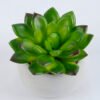 Artificial succulent 7.5*7.5*7.5cm succulent plants in cement pot GS-51719004