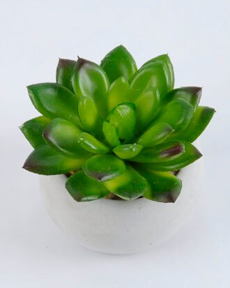 Artificial succulent 7.5*7.5*7.5cm succulent plants in cement pot GS-51719004