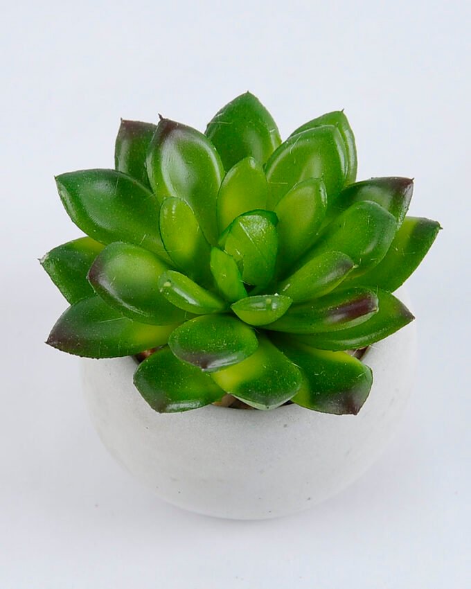 Artificial succulent 7.5*7.5*7.5cm succulent plants in cement pot GS-51719004