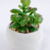 Artificial succulent 6*6*7.5cm succulent plants in cement pot GS-51719005