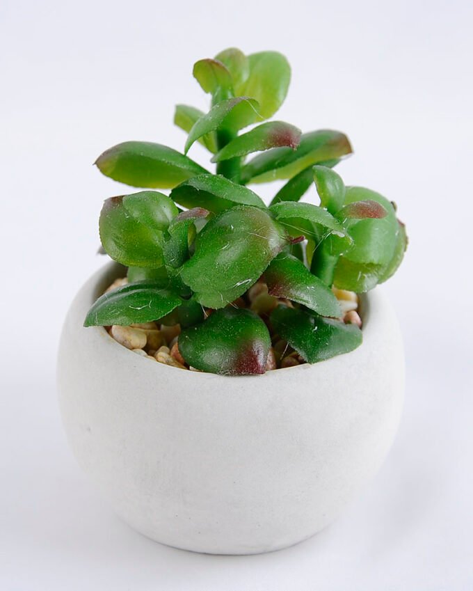Artificial succulent 6*6*7.5cm succulent plants in cement pot GS-51719005