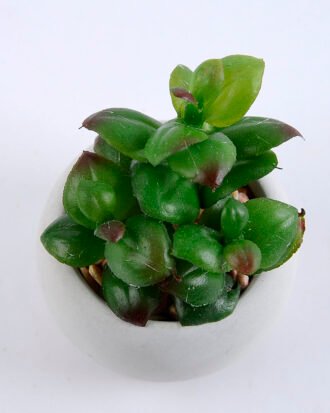 Artificial succulent 6*6*7.5cm succulent plants in cement pot GS-51719005