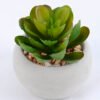 Artificial succulent 6*6*8cm succulent plants in cement pot GS-51719006