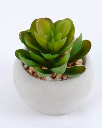 Artificial succulent 6*6*8cm succulent plants in cement pot GS-51719006