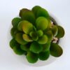 Artificial succulent 6*6*8cm succulent plants in cement pot GS-51719006