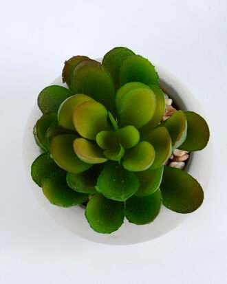 Artificial succulent 6*6*8cm succulent plants in cement pot GS-51719006