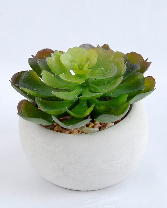 Artificial succulent 7*7*7cm succulent plants in cement pot GS-51719007