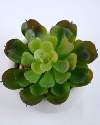 Artificial succulent 7*7*7cm succulent plants in cement pot GS-51719007 Succulent YeahFlower is one of Chinese leading OEM manufacturers and exporters , supplying the silk flowers, wholesale artificial trees Artificial succulent 7*7*7cm succulent plants in cement pot GS-51719007