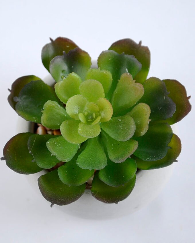 Artificial succulent 7*7*7cm succulent plants in cement pot GS-51719007