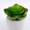 Artificial succulent 7.5*7.5*7.5cm succulent plants in cement pot GS-51719008