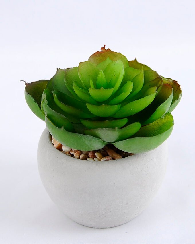 Artificial succulent 7.5*7.5*7.5cm succulent plants in cement pot GS-51719008