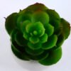 Artificial succulent 7.5*7.5*7.5cm succulent plants in cement pot GS-51719008