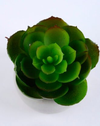 Artificial succulent 7.5*7.5*7.5cm succulent plants in cement pot GS-51719008 Succulent YeahFlower is one of Chinese leading OEM manufacturers and exporters , supplying the silk flowers, wholesale artificial trees Artificial succulent 7.5*7.5*7.5cm succulent plants in cement pot GS-51719008