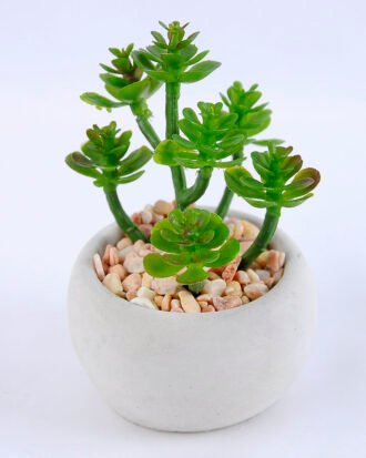 Artificial succulent 7*7*10cm succulent plants in cement pot GS-51719009