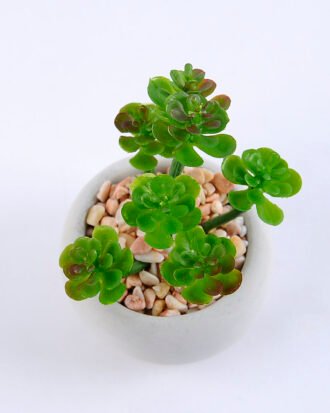 Artificial succulent 7*7*10cm succulent plants in cement pot GS-51719009