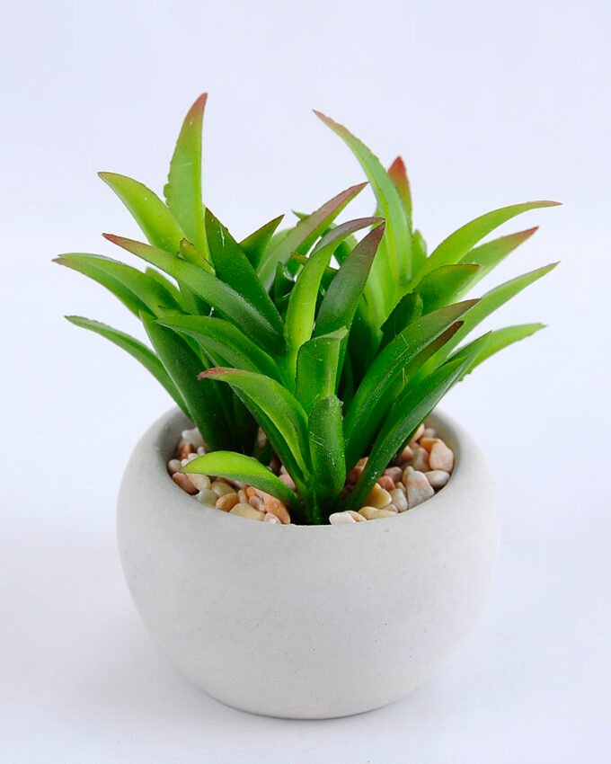 Artificial succulent 8*7*9cm succulent plants in cement pot GS-51719010
