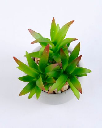 Artificial succulent 8*7*9cm succulent plants in cement pot GS-51719010