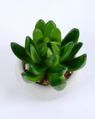 Artificial succulent 7*7*8cm succulent plants in cement pot GS-51719011