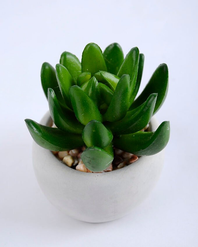 Artificial succulent 7*7*8cm succulent plants in cement pot GS-51719011