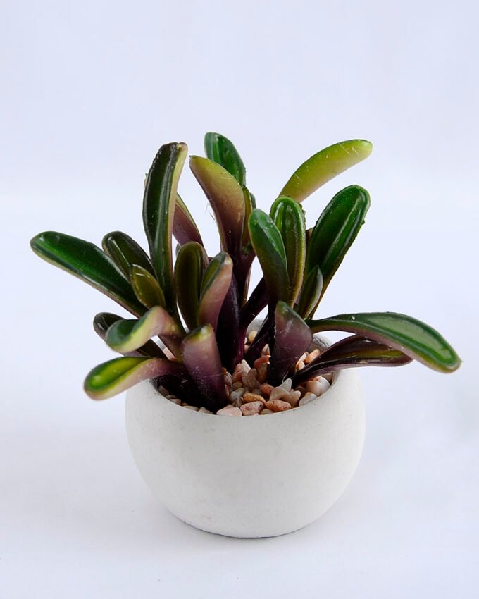 Artificial succulent 11*9.5*10cm succulent plants in cement pot GS-51719012
