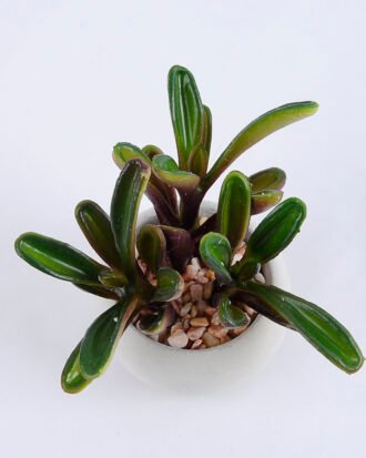 Artificial succulent 11*9.5*10cm succulent plants in cement pot GS-51719012 Succulent YeahFlower is one of Chinese leading OEM manufacturers and exporters , supplying the silk flowers, wholesale artificial trees Artificial succulent 11*9.5*10cm succulent plants in cement pot GS-51719012