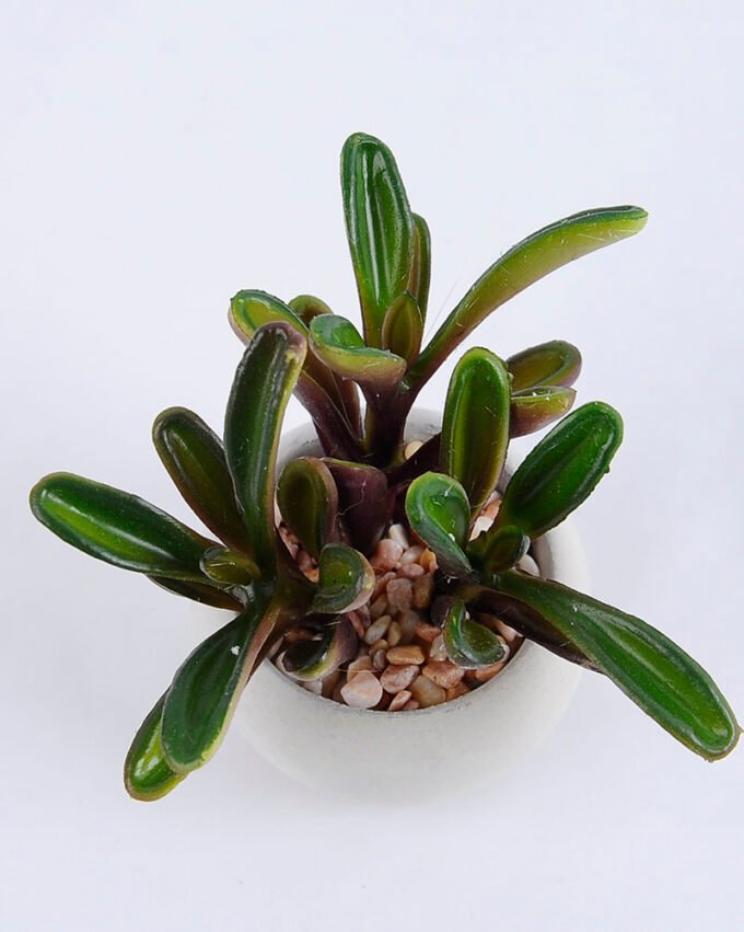 Artificial succulent 11*9.5*10cm succulent plants in cement pot GS-51719012