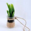 Artificial succulent 6*6*16cm succulent plants in glass pot GS-51719013
