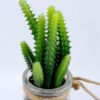 Artificial succulent 6*6*16cm succulent plants in glass pot GS-51719013