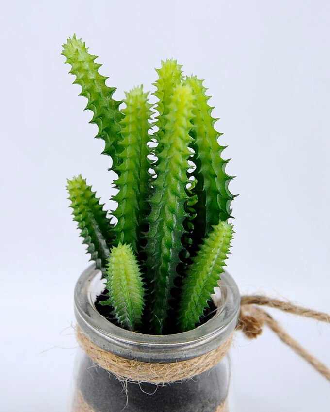 Artificial succulent 6*6*16cm succulent plants in glass pot GS-51719013