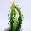 Artificial succulent 6*5.5*17cm succulent plants in glass pot GS-51719014