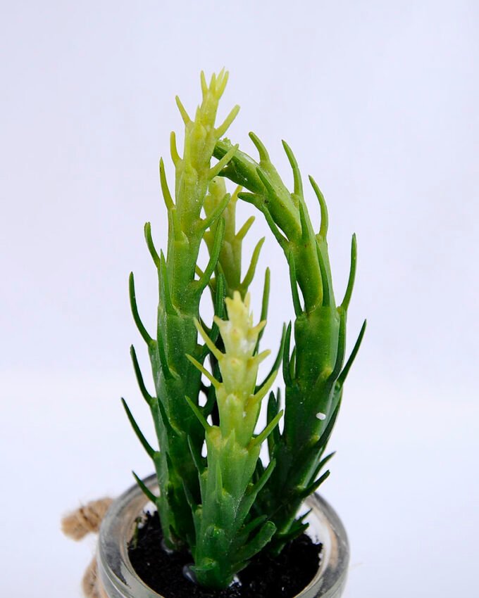 Artificial succulent 6*5.5*17cm succulent plants in glass pot GS-51719014