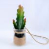 Artificial succulent 6*6*17cm succulent plants in glass pot GS-51719016