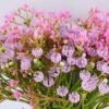 Artificial Flower 18*30CM BABYSBREATH BOUQUET*12 GS-53519001-P1