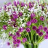 Artificial Flower 18*30CM BABYSBREATH BOUQUET*12 GS-53519001-Z1