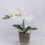 Artificial Flower 10*10*30CM Butterfly in glass pot GS-52719001