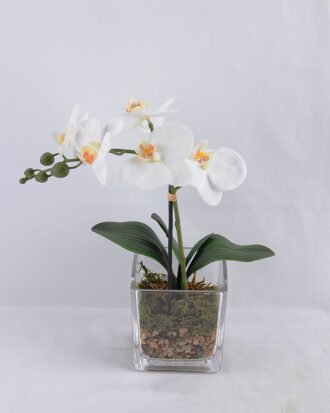 Artificial Flower 10*10*30CM Butterfly in glass pot GS-52719001