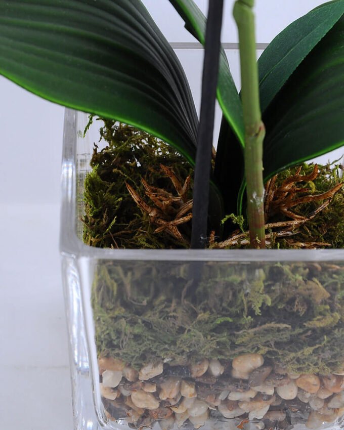 Artificial Flower 10*10*30CM Butterfly in glass pot GS-52719001 2 Artificial Flower 10*10*30CM Butterfly in glass pot GS-52719001