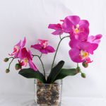 Artificial Flower 10*10*37CM Butterfly in glass pot GS-52719021-Z1