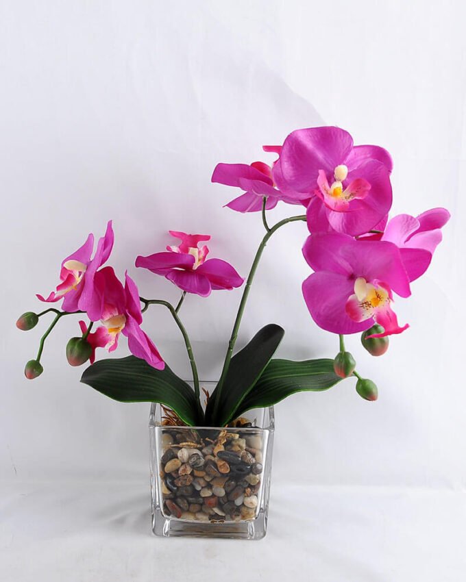 Artificial Flower 10*10*37CM Butterfly in glass pot GS-52719021-Z1