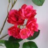 Artificial Flower 16*75CM Camellia spray*3 GS-53619011-R1