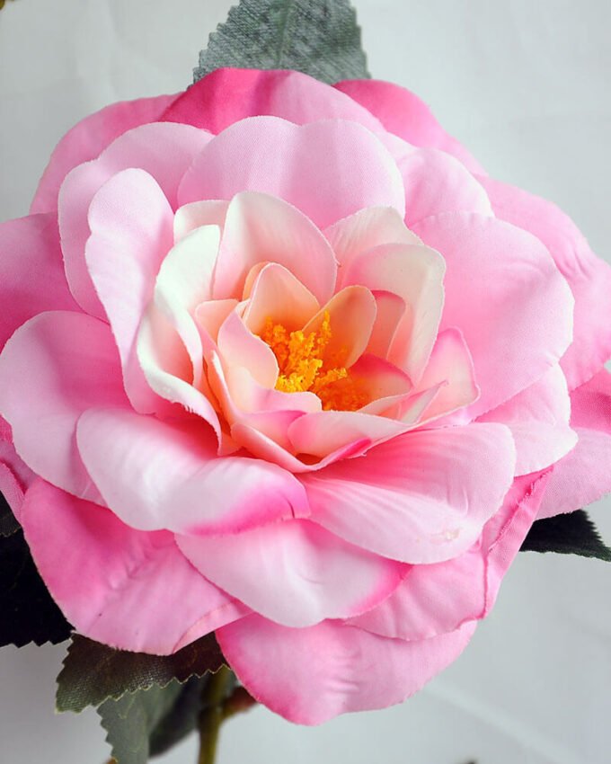 Artificial Flower 25*67CM Camellia*4 GS-53619004-P1
