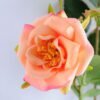 Artificial Flower 14*68cm Chinese rose spray*3 GS-53619006-O1 2 Artificial Flower 14*68cm Chinese rose spray*3 GS-53619006-O1