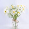 Artificial Flower 32*32*37CM Chrysanthemum in glass pot with fake water GS-52719004-W1 1 Artificial Flower 32*32*37CM Chrysanthemum in glass pot with fake water GS-52719004-W1