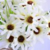 Artificial Flower 23*19*25CM Chrysanthemum in glass pot with fake water GS-52719023+F-W1