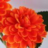 Artificial Flower 25*15*35CM Chrysanthemum in glass pot with fake water GS-52719024+F-O1