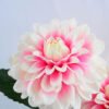 Artificial Flower 25*15*35CM Chrysanthemum in glass pot with fake water GS-52719024+F-P1