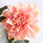 Artificial Flower 31*115CM Dahlia spray GS-128J19001-P2
