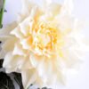 Artificial Flower 31*115CM Dahlia spray GS-128J19001-W1