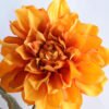 Artificial Flower 31*115CM Dahlia spray GS-128J19001-Y1